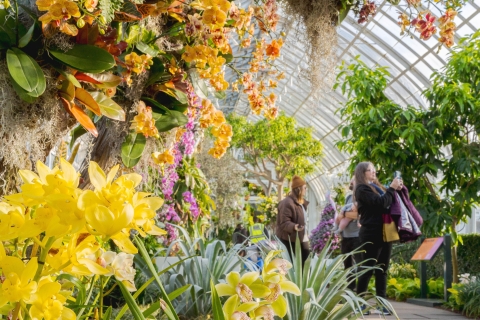 Jardín Botánico de Nueva York: ticket de accesoPase para todos los jardines