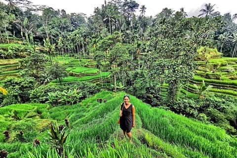 Ubud: Guided Rice Field, Waterfall, and Coffee Plantation