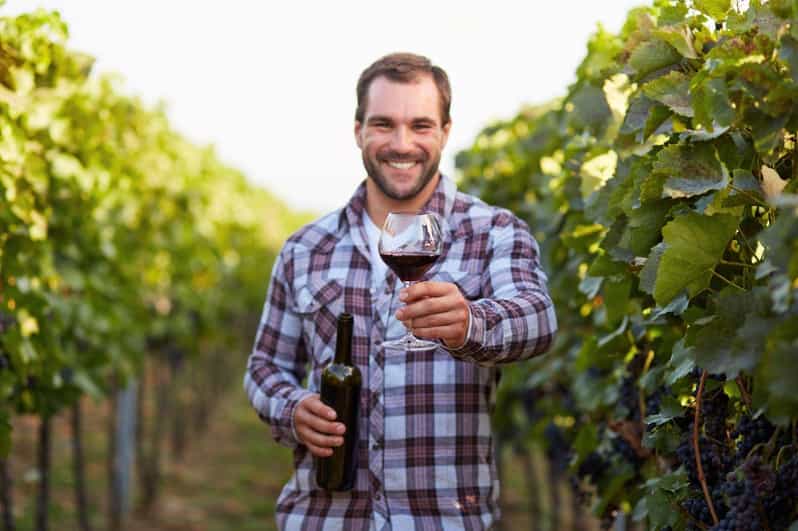 Rome: Frascati Private Day Trip with Lunch & Wine Tasting