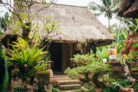 Bali: Coffee Roasting & Plantation Tour with Tasting - Image 2
