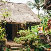 Bali: Coffee Roasting & Plantation Tour with Tasting