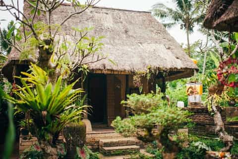 Bali: Coffee Roasting & Plantation Tour with Tasting - Image 3
