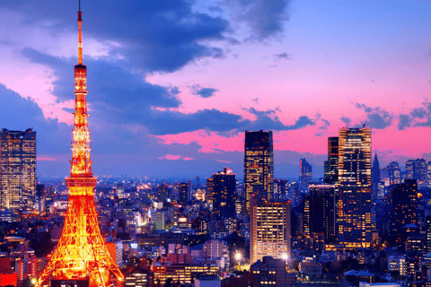 Visite d&#039;une jounée privée de Tokyo avec chauffeur parlant anglais