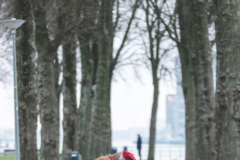 Rotterdam: Private Photoshoot with a Local Photographer