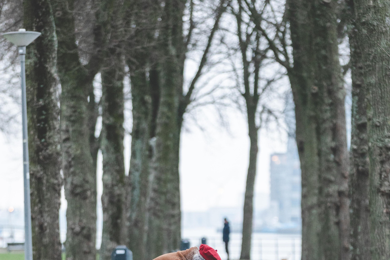 Rotterdam: Private Photoshoot with a Local Photographer