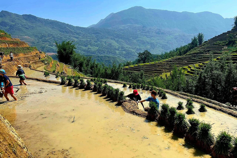 Hanoi - Sapa - Hanoi Daily High Quality Sleeping Cabin Bus Tranfer from Sapa to Hanoi w High Quality Sleeping Cabin Bus