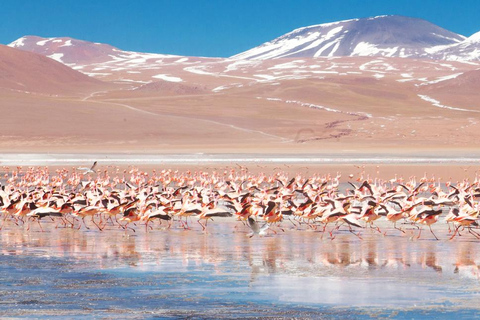 Depuis La Paz : Excursion d&#039;une journée dans les salines d&#039;Uyuni avec vin au coucher du soleil