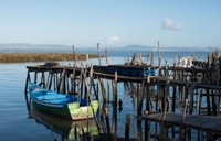 Comporta aan Alcacer Do Sal Boat Trip - Housity