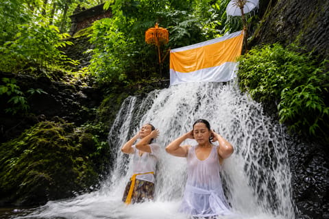 Bali: Sebatu Purification, Ceking Rice Terrace & Coffee Tour - Image 2