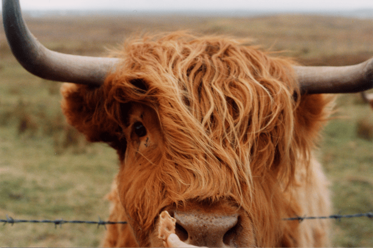 From Edinburgh: 18-35s Tour 5-Day Scottish Highlands