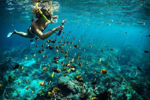 Combinatie van snorkelen en eilandtour op Nusa Penida