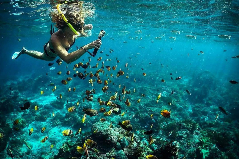 Combinatie van snorkelen en eilandtour op Nusa Penida