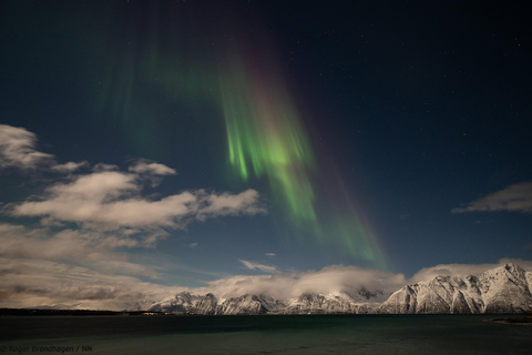 Desde Tromsø: Excursión nocturna de auroras boreales y avistamiento de ballenasDesde Tromsø: Excursión nocturna para ver auroras boreales y ballenas