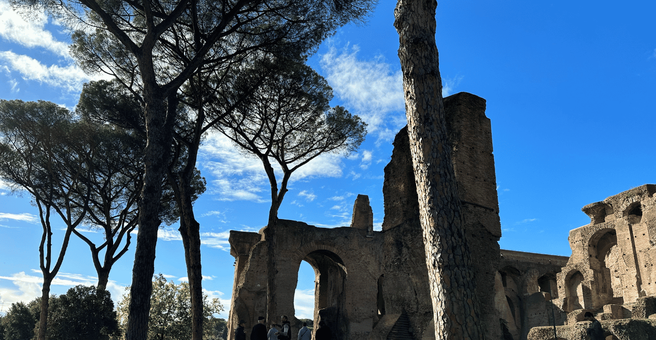 Rom: Erweitertes Kolosseum & Forum Romanum mit SUPER Sehenswürdigkeiten Rom: Erweitertes Kolosseum & Forum Romanum mit SUPER Sehenswürdigkeiten
