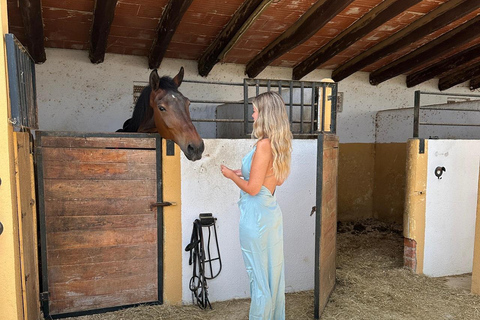 Norway-Gålå: Horseback Riding Tour with Refreshments