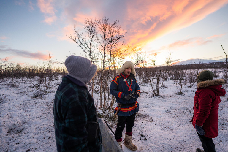 Abisko: Sami Reindeer Experience with Snowshoeing & Snacks