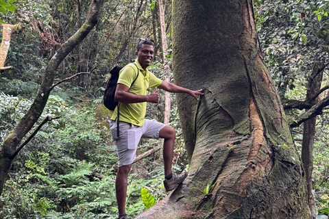 Copolia Trail (Private Hiking Activity) - All Inclusive