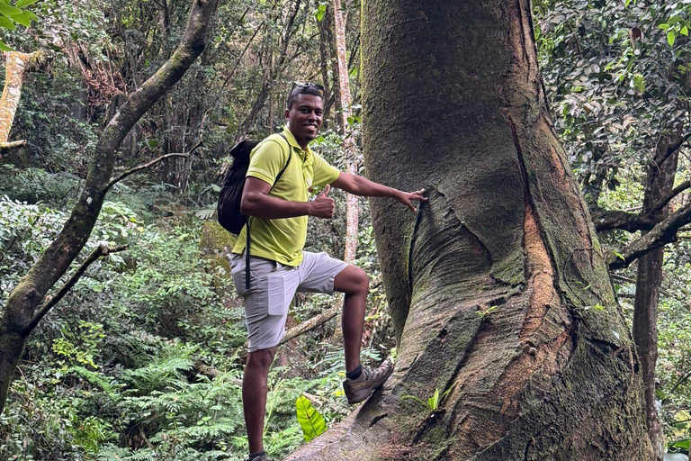 Copolia Trail (Private Hiking Activity) - All Inclusive