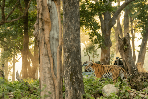 2 Day Jim Corbett National Park Tour from Delhi Tour with guide, a/c car, Hotel/resort, Tiger Safari Only.