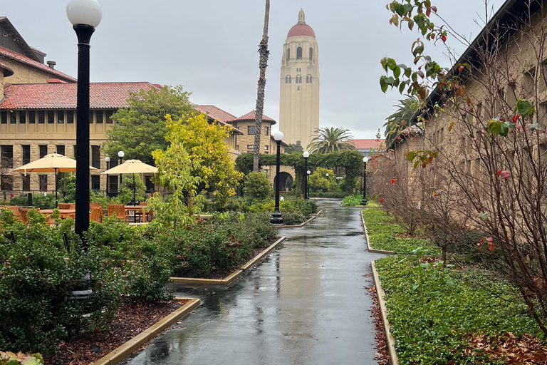 Tour privado por Silicon Valley