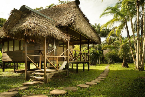 Puerto Maldonado: 4-Day Adventure in the Tambopata Jungle
