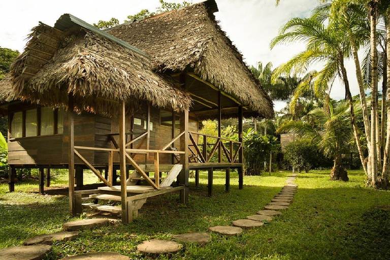 Puerto Maldonado: 4-Day Adventure in the Tambopata Jungle