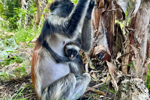 ZANZIBAR: Jozani Forest, kuza cave and mtende beach