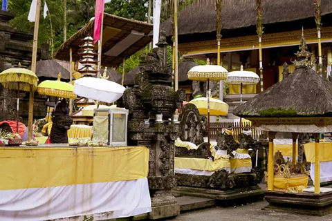 Ubud: Monkey Forest, Rice Terrace, Waterfall Private Tour Private Tour Without Entry Tickets