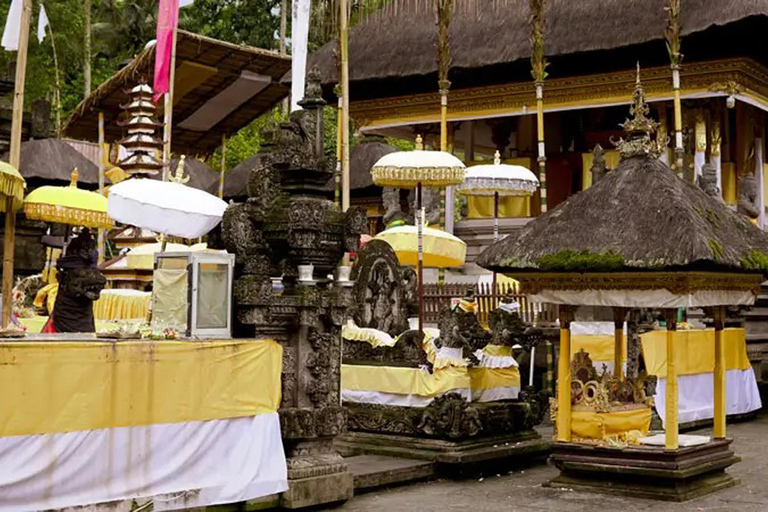Ubud: Monkey Forest, Rice Terrace, Waterfall Private Tour Private Tour Without Entry Tickets