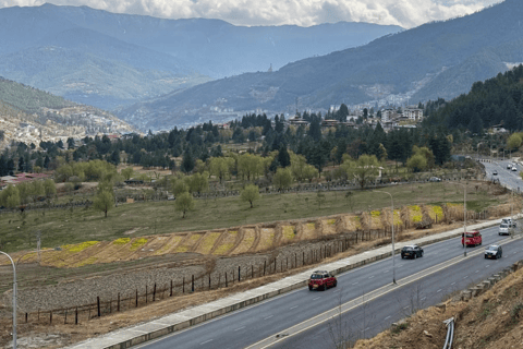 All Inclusive Thimphu Full or Half Day City Tour with Lunch