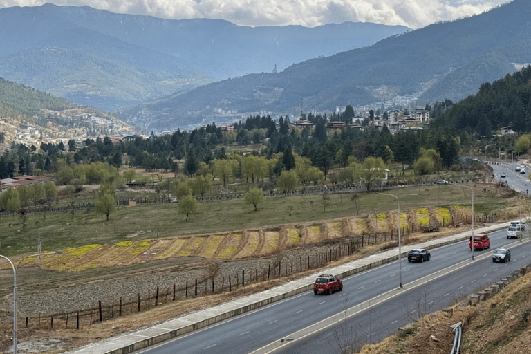All Inclusive Thimphu Full or Half Day City Tour with Lunch