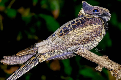 Cochin Adventure Tour: Islands, Birds & Hilltop Views