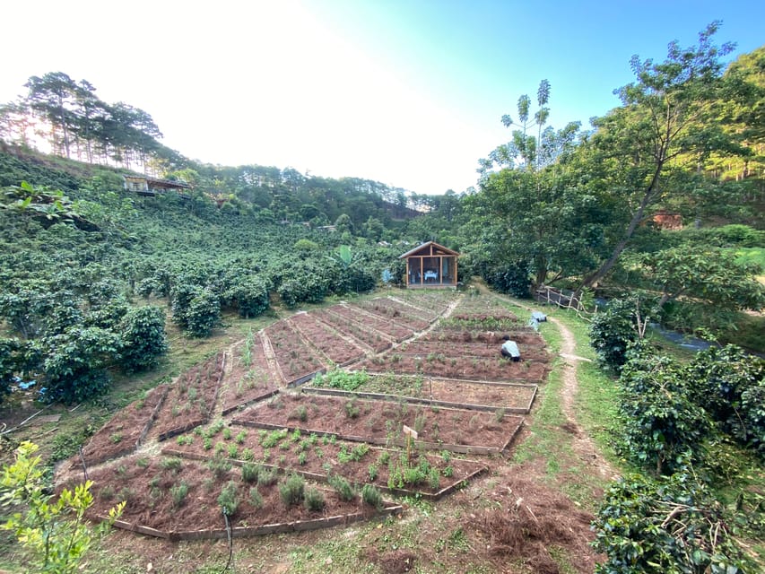 Scented candle at Twin Beans Farm Da Lat suburb GetYourGuide