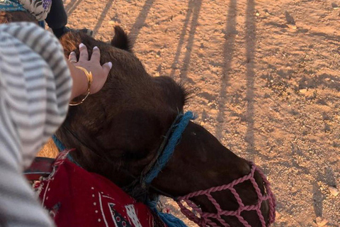 Marrakech: Camel & Quad Bike Tour with Sunset, Dinner & Show