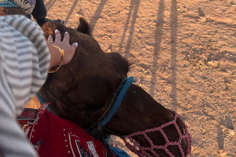 Marrakech: Camel & Quad Bike Tour with Sunset, Dinner & Show