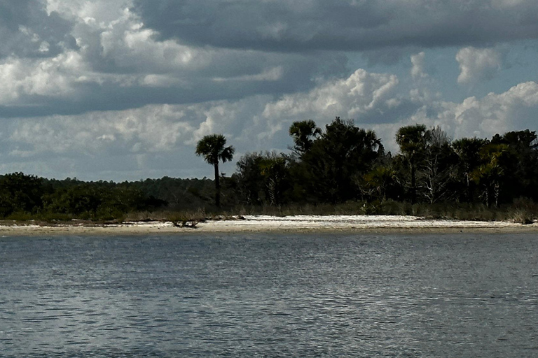 Daytona Beach: 3 uur durende boottocht langs de kustDaytona Beach: 3 uur durende Coastal Discover Boat Cruise