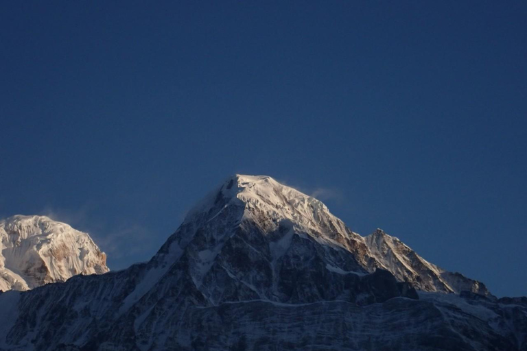 Från Katmandu: 8-dagars Mardi Himal Trek med transfer