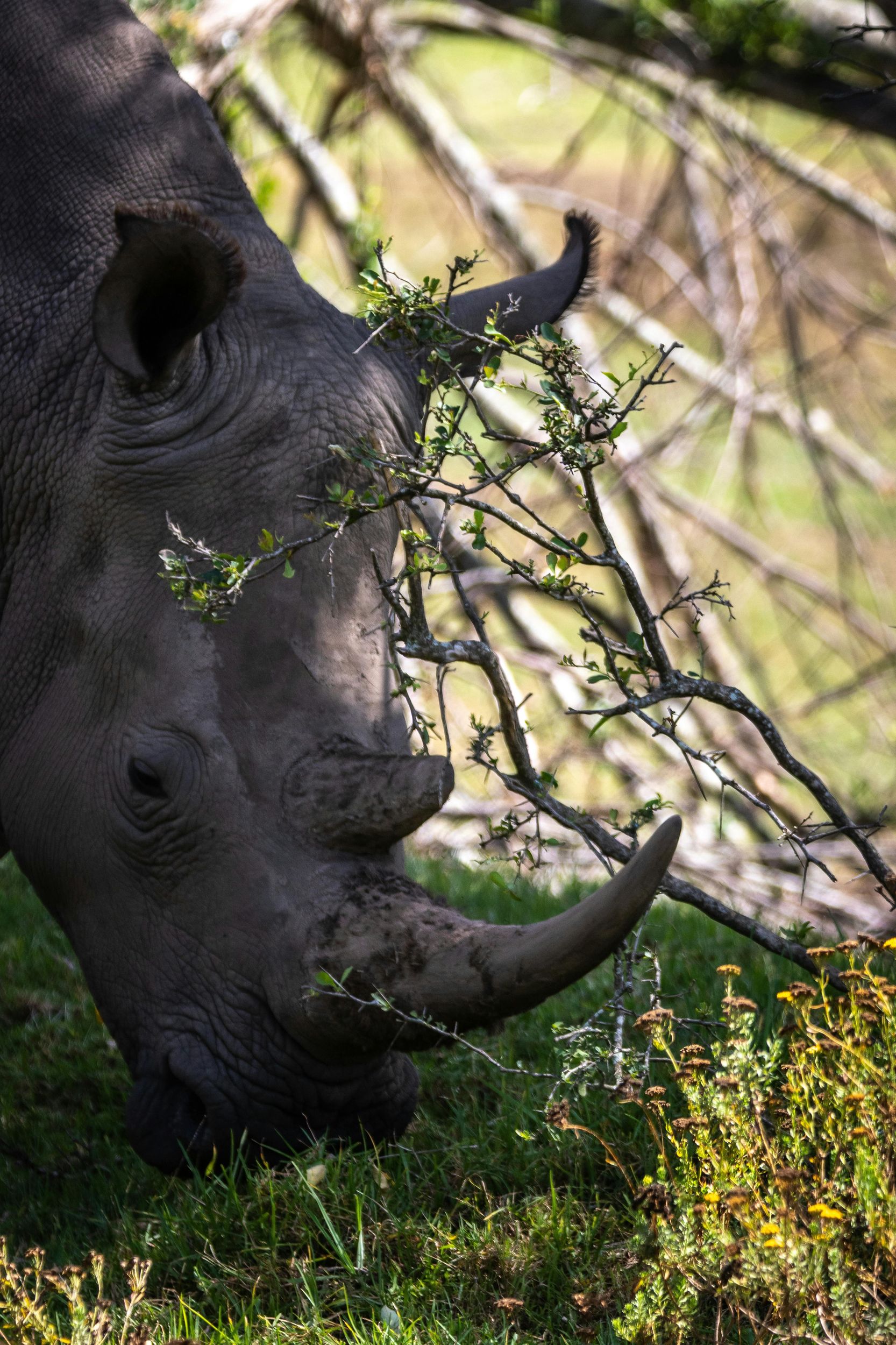 KRAGGA KAMMA WILDPARK
