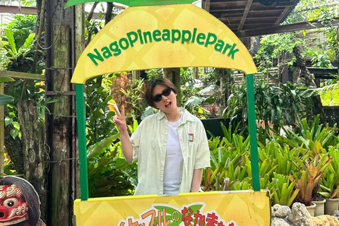 Okinawa: Nago Pineapple Park Ticket & Cart Ride