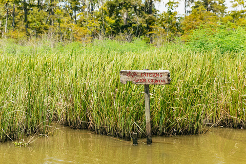 Nouvelle-Orléans : Visite du Bayou dans le parc national Jean LafitteLa Nouvelle Orléans : excursion dans la réserve Jean Lafitte