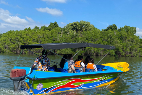 Koggala: Authentic Experience with Cinnamon Girl Koggala Cinnamon Experience with pickup from Ahangama