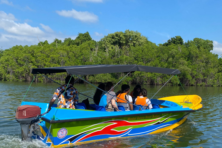 Koggala: Authentic Experience with Cinnamon Girl Koggala Cinnamon Experience with pickup from Ahangama