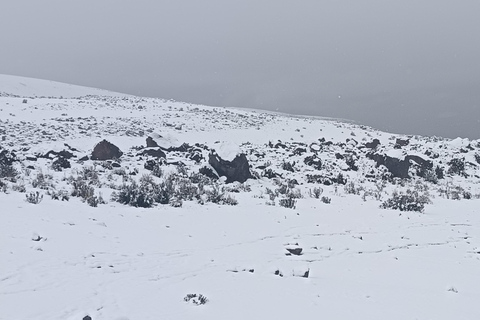 From Quito: FullDay Chimborazo Volcano Snow Tour