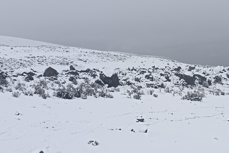 From Quito: FullDay Chimborazo Volcano Snow Tour