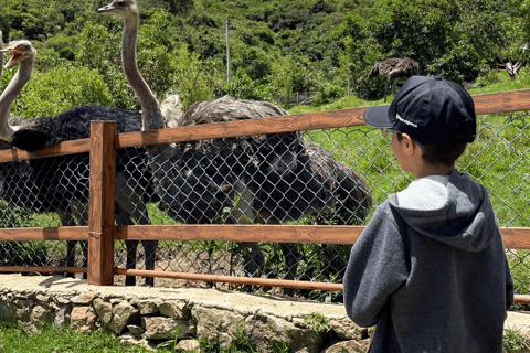 From Bogota: 4-Day Boyaca Tour with Hot Springs, Lake Tota