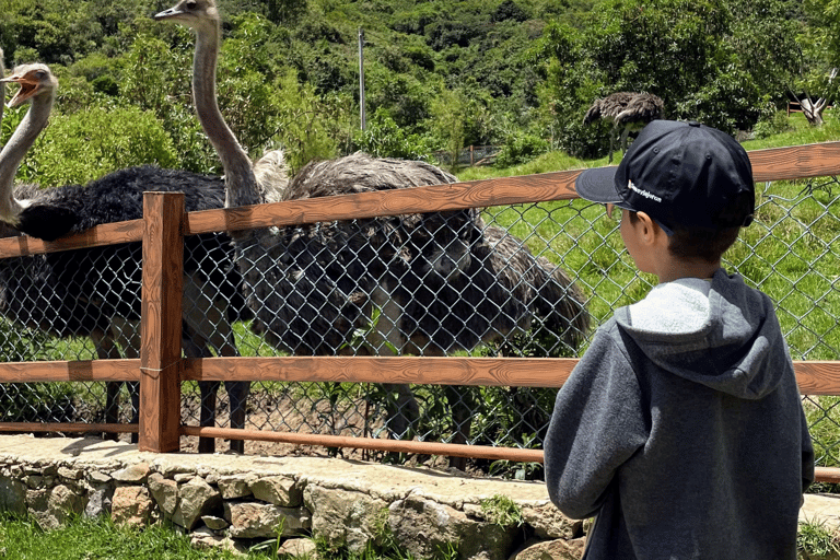 From Bogota: 4-Day Boyaca Tour with Hot Springs, Lake Tota