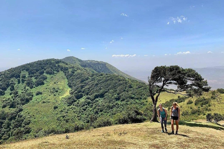 نيروبي: جولة مشي طويلة في تلال نغونغ مع مغامرة الانزلاق بالحبلNairobi: Ngong Hills Guided Hike with Zipline Adventure