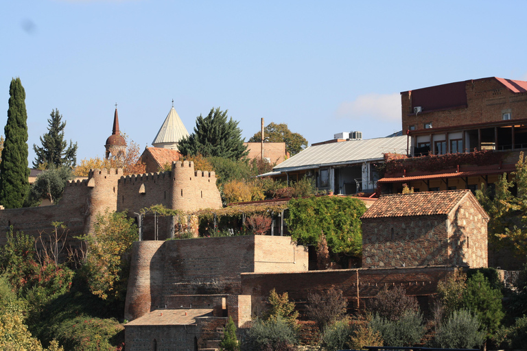 Tbilisi: Old Town Walking Tour with Wine & Boat Ride Options Private Tour