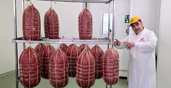 Exclusive tour of an artisanal mortadella producer