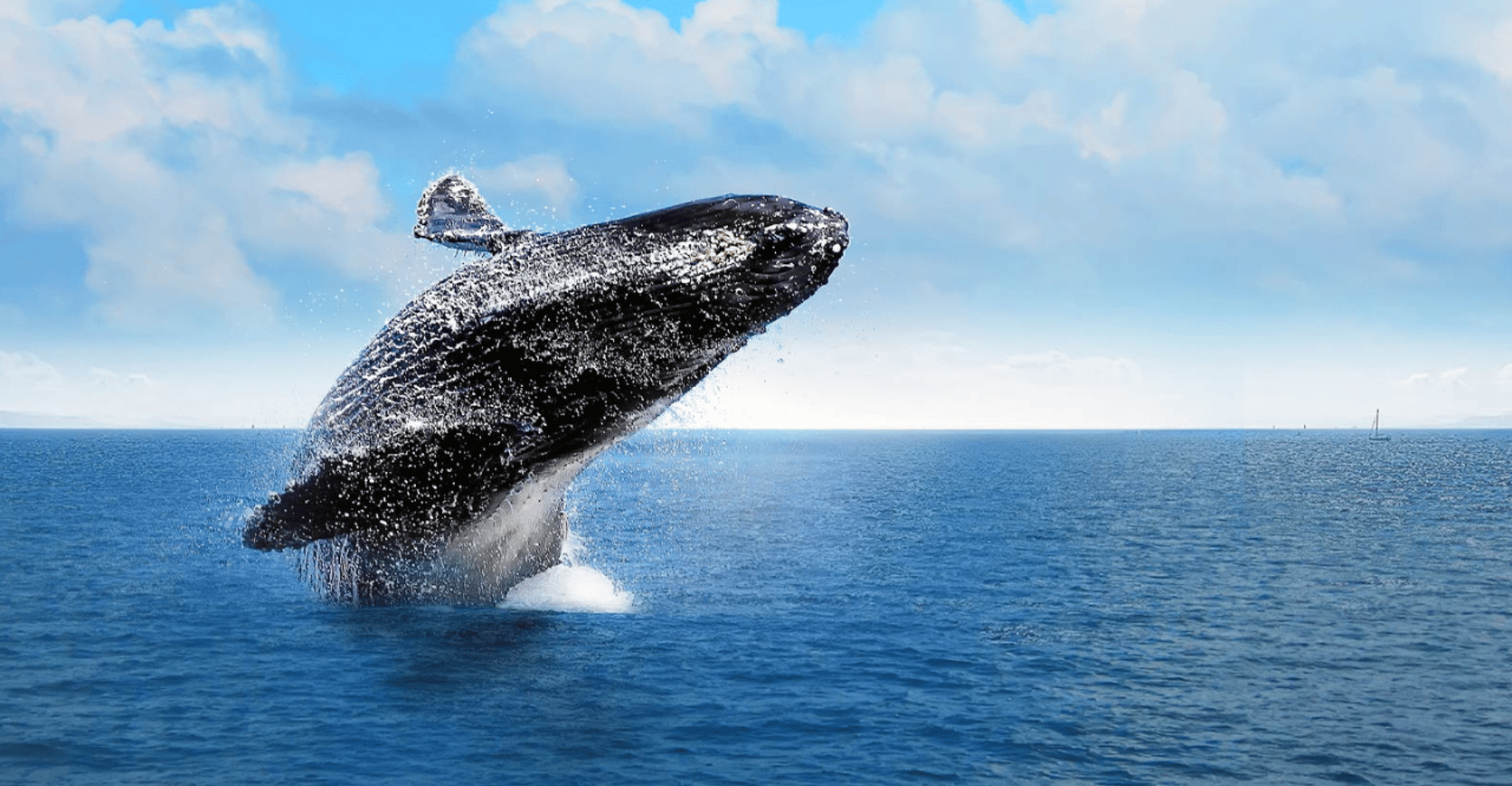 Samaná Cayo ha sollevato e cascata il limone da Punta Cana - Housity